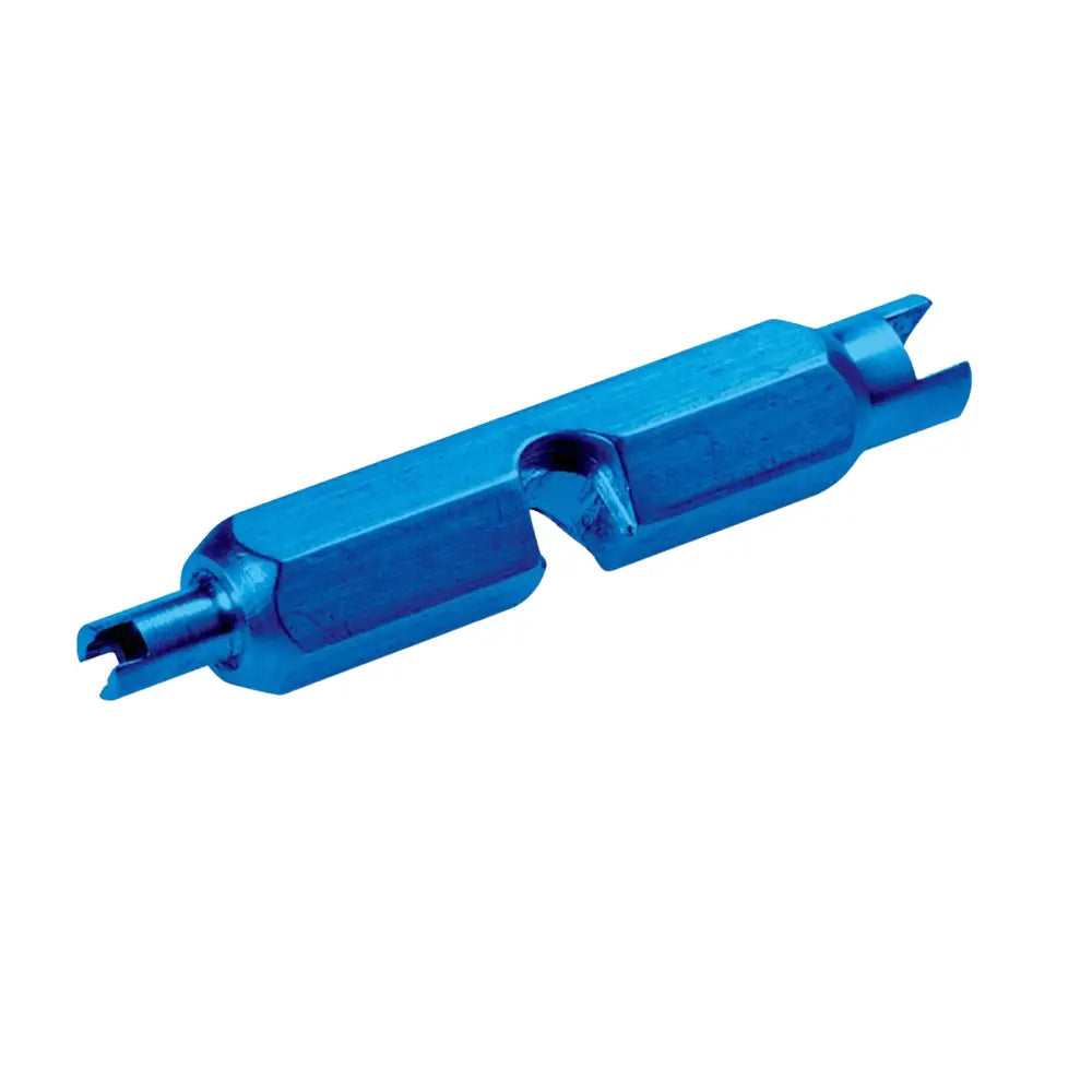 Valve removal tool